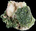 Lustrous, Epidote Crystal Cluster with Quartz - Morocco #49417-1